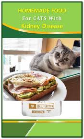 Homemade Food For Cats With Kidney Disease Kidney Disease Recipes Homemade Cat Food Sensitive Stomach Cat Food
