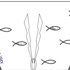 Legal privacy cookies about ads. Pdf Operational Sex Ratio And Reproductive Behaviour In The Two Spotted Goby Gobiusculus Flavescens