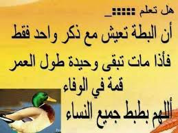 pin by hamed alshabibi on arabic wisdom arabic funny quotes arabic quotes