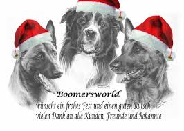 Check spelling or type a new query. Boomer Sein Leben Mit Den Malinois Archiv 2014