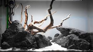 Low Tech Aquascape Jungle Path By Scapestian Sth Flowgrow Recording Date 13 01 2018 Float Glass Tank 60 X 35 X 3 Aquascape Aquarium Sand Nature Aquarium