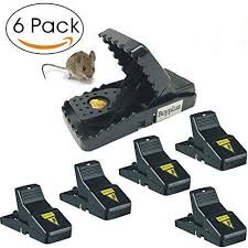 Snap traps to kill mice? Best Mouse Trap Mice Rat Trap Snap Humane Power Rodent Killer Quick Effective 100 Mouse Catcher Safe Sanitary Families Pets Protector 6 Pack Walmart Com Walmart Com