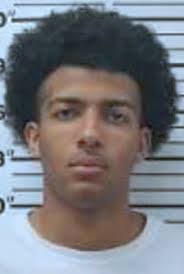 2 arrested after police pursuit