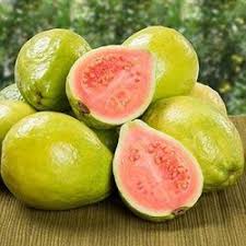 How to pollinate unusual fruits. Unusual Fruits For Sale Fastgrowingtrees Com