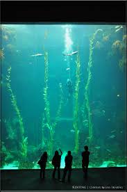 Kenting Marine Biology Aquarium Biggest Aquarium In Asia Some Day For A Big Aquarium Marine Biology Aquarium Fish Tank