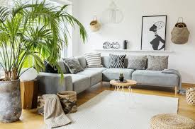 The living room is your respite from the outside, as well as your cozy collaboration space with friends and family, satch says. 9 Ways To Add More Houseplants To Your Home