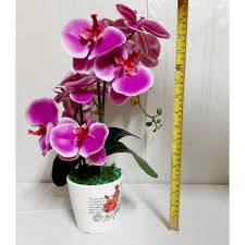 Kunci untuk menjaganya adalah dengan memberi sejumlah air dan. Pokok Bunga Orkid 3d Latex Premium 40cm Shopee Malaysia