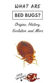 Bites That Look Like Bed Bug Bites But Aren T Pin On Bed Bugs