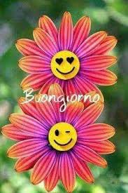 Le strass sono state aggiunte alle farfalle e ai fiori in rilievo. 8 Idee Su Fiori E Farfalle Buongiorno Auguri Di Buongiorno Buongiorno Bellissimo