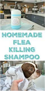 Homemade Pet Shampoo That Kills Fleas And Is Safe For Puppies Homemade Dog Shampoo Flea Shampoo For Dogs Flea Shampoo For Cats