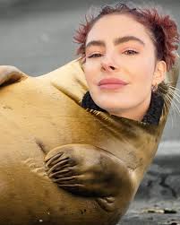 I'm not trying to bereal, I'm tryin to be a seal 🦭 Swipe to end for  surprise #bereal #life #lifestyle #lifelately #losangeles #fyp #mylife