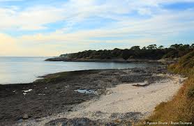 Mer Calme Devant Vaux Sur Mer Et Le Domaine Des Fees Royanatlantique In 2020 Outdoor Coastline Beach