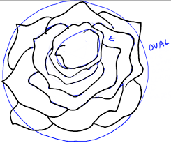 How To Draw Roses Opening In Full Bloom Step By Step Drawing Tutorial How To Draw Step By Step Drawing Tutorials With this how to draw a rose step by step tutorial makes drawing this beautiful flower super easy, which makes it perfect for beginners as well as kids. how to draw roses opening in full bloom