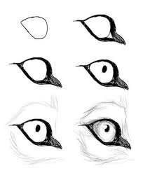 27 Trendy Drawing Tutorial Animal Step By Step Anime Eyes Animal Drawings Sketches Art