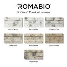 4 Gal Avorio White Limewash Interior Exterior Paint 101152 The Home Depot Brick Exterior House Painted Brick House Home Exterior Makeover