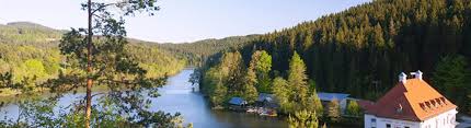 Der bayerische wald ist ein mittelgebirge in bayern und erstreckt sich über die regierungsbezirke niederbayern und oberpfalz. Urlaub Bayerischer Wald Erholungsurlaub Gunstig Mit Alltours