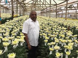 From A Small Shop To A Major Cut Flower Producer