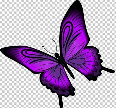 Find gifs with the latest and newest hashtags! Purple Butterfly Png Clipart Brush Footed Butterfly Butterflies Butterflies And Moths Butterfly Clip Art Free Png