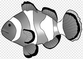 Secara taksonomis, ikan tersebut termasuk dalam. Ikon Komputer Ikan Ikan Putih Hewan Vertebrata Png Pngwing