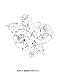 Check spelling or type a new query. Pfingstrosen Malvorlage Coloring And Malvorlagan