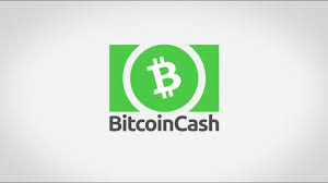 Should you invest in the bch / usd? Bitcoin Cash Bch Fundamental Analysis And Price Prediction 2021 2025