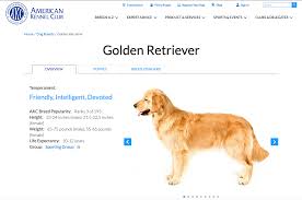 Virginia law allows puppies to be picked up as early as 7 that is another reason why we would not register this litter with the american kennel club (akc). On Page Seo A Beginners Guide For Content Creators