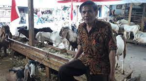Para pedagang dengan mudah membersihkan olahan dan. Menengok Pasar Kambing Tanah Abang Pusat Penjual Hewan Kurban Jakarta Kumparan Com