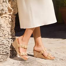 Image result for Nolletia arenosa