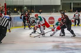 Le palet de hockey sur glace fut créé en 1877 par william f. Hockey Les Resultats Et Le Classement De La Ligue Magnus Actu Pays Basque