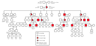 Pedigree Chart Royal Family Hemophilia Www