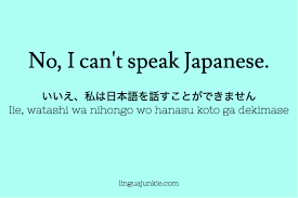 20 Ways To Say No In Japanese Language Lesson Japanese Language Learning Japanese Language Basic Japanese Words