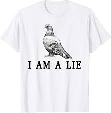 Birds Aren T Real Hoodie I Am A Lie Birds Aren T Real Government Conspiracy T Shirt In 2020 Shirts T Shirt T Shirts For Women