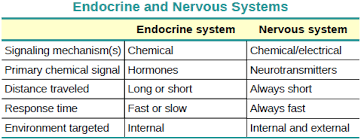 Openstax Anatomy And Physiology Ch17 The Endocrine