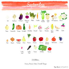 Fruits Et Legumes De Septembre Fruits Et Legumes Calendrier Fruits Et Legumes Fruits Et Legumes De Saison
