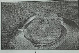 Jawaban game wow gurun atacama 7 bang zul. Gambar Di Atas Adalah Ketampakan Alam Khas Benua Amerika Yang Dikenal Dengan Nama A Gurun Brainly Co Id