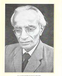 Essays In History Of Archaeology (Themes, Institutions And Personalities)