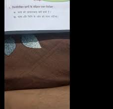 On clicking the direct link, in the next screen. Answers For Savvas Realize Science 39 Questions With Answers In Niosome Science Topic During The Scientific Revolution Of The 17th Century Scientists Were Largely Men Of Private Means Who