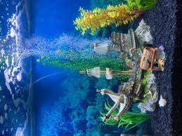 Ebay.co.uk has been visited by 1m+ users in the past month Top Fin Ship Sail Bubbler Aquarium Ornament Fish Ornaments Petsmart