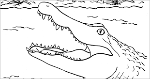 Snake coloring pages zoo animal coloring pages horse coloring pages bible coloring pages free adult coloring pages coloring sheets coloring rocks animal sketches animal drawings. Cute Alligator Coloring Page Coloringbay