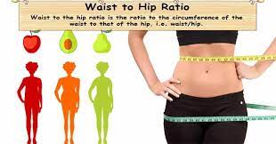Waist To Hip Ratio Calculator | Waist/Hip Calculator