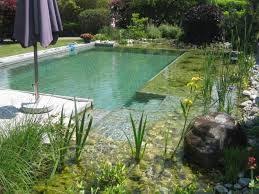 Bildergebnis Fur Schwimmteich Klein Piscina