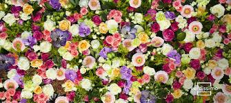 So bag alter tell us the process about it? The Most Beautiful Flowers In The World Verdissimo