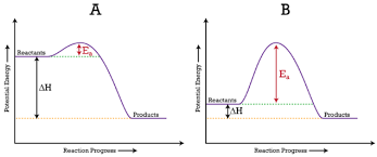 18 4 Potential Energy Diagrams Chemistry Libretexts