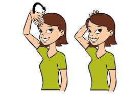 Lion Baby Sign Language Sign Language For Kids Sign Language Book