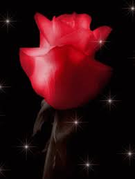 The perfect heart love animated gif for your conversation. Flowers Hearts Dream Gifs