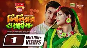 Senior Wife | Bangla Natok | সিনিয়র ওয়াইফ | Salman Muqtadir | Aysha  Nafisa | Bangla Natok 2022