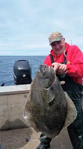 Find & download free graphic resources for halibut fish. Rare Summer Halibut Season Becomes Hot Ticket For Anglers The Columbian