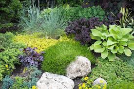 Check spelling or type a new query. Low Maintenance Gardens Plant Layout Ideas Designs For Australia
