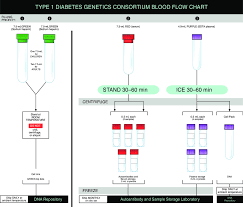 T1dgc Blood Collection Chart Download Scientific Diagram