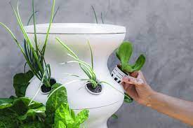 Do you want to see more about this hydroponic farmstand that lets you grow your lettuce grow by zooey deschanel is available now! Lettuce Grow Farmstand Review 2021 Hgtv